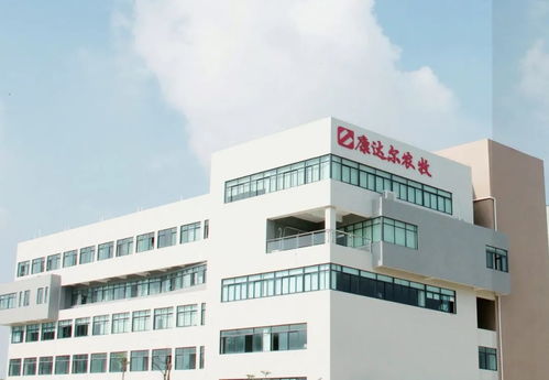 五年四換會計師事務所，康達爾信披違規背后的轉型焦慮