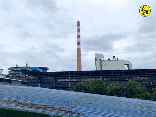 年營收309億，41年歷史的宜賓老廠搬遷背后的城市蝶變